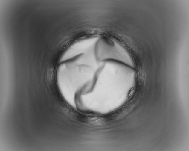 X0000112490511200909141207