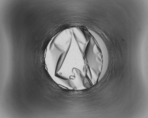 X0000112490517200909141207