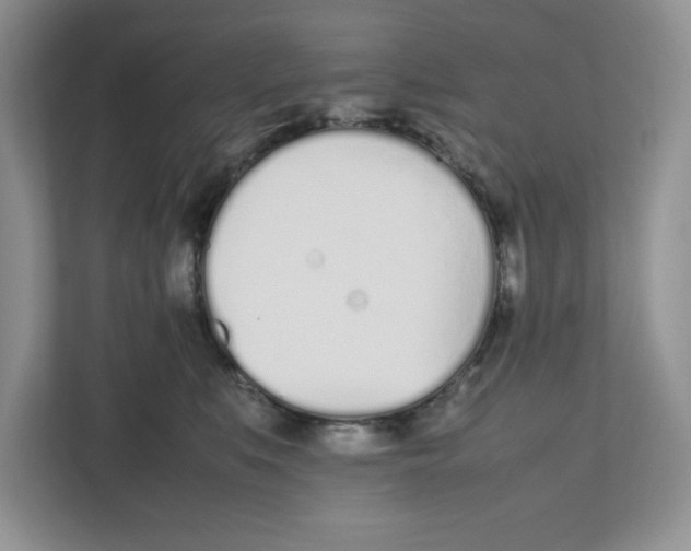 X0000112490519200909141206