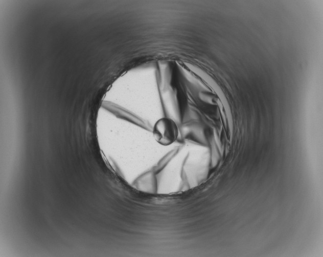 X0000112490520200909141206