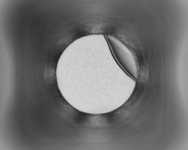 X0000112490521200909141206