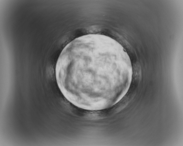 X0000112490523200909141206