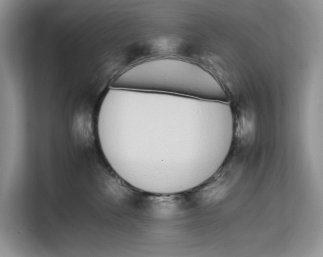 X0000112490524200909141206