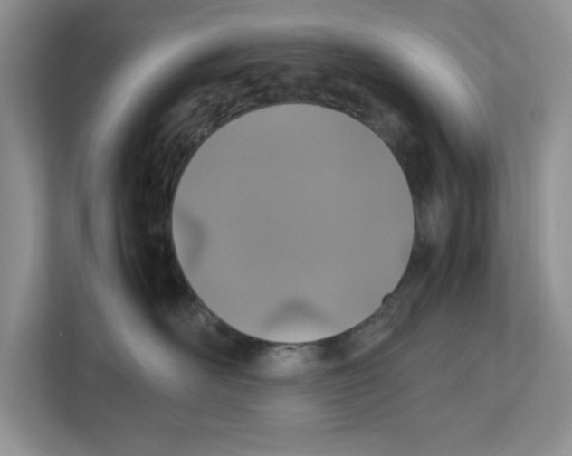 X0000112490526200909141206