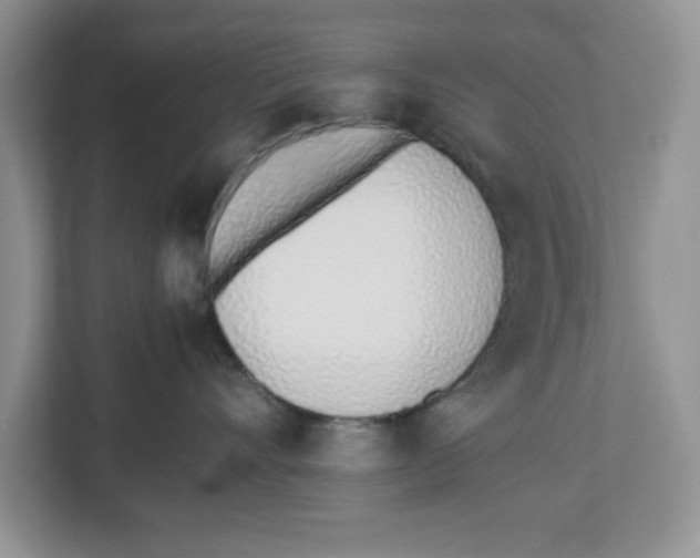 X0000112490528200909141206