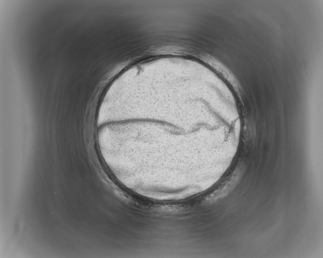 X0000112490529200909141206