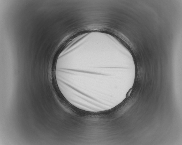 X0000112490530200909141206