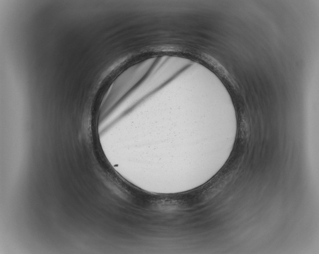 X0000112490535200909141206