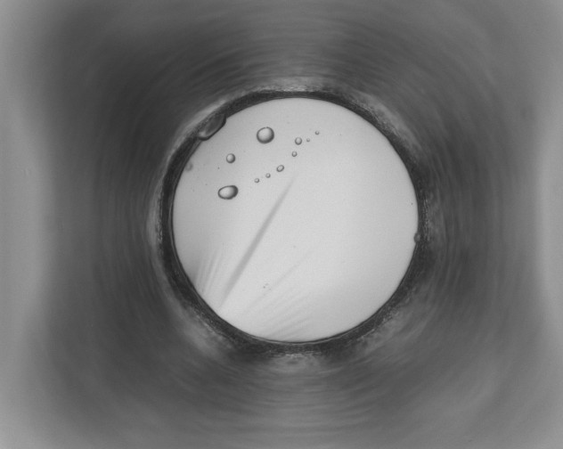 X0000112490536200909141206