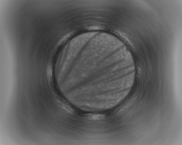 X0000112490539200909141206