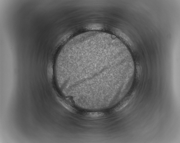 X0000112490541200909141206