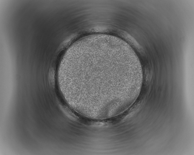 X0000112490542200909141206