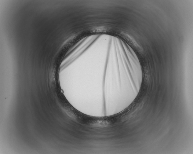 X0000112490543200909141206