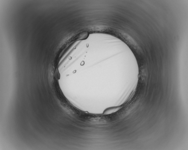 X0000112490544200909141206