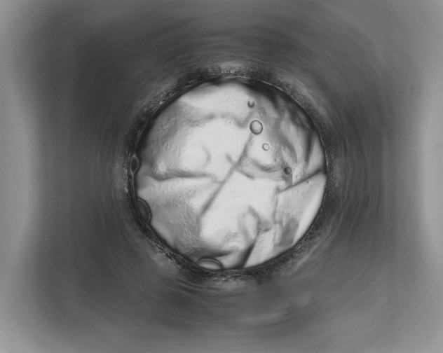 X0000112490545200909141206
