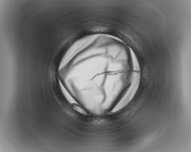 X0000112490547200909141206