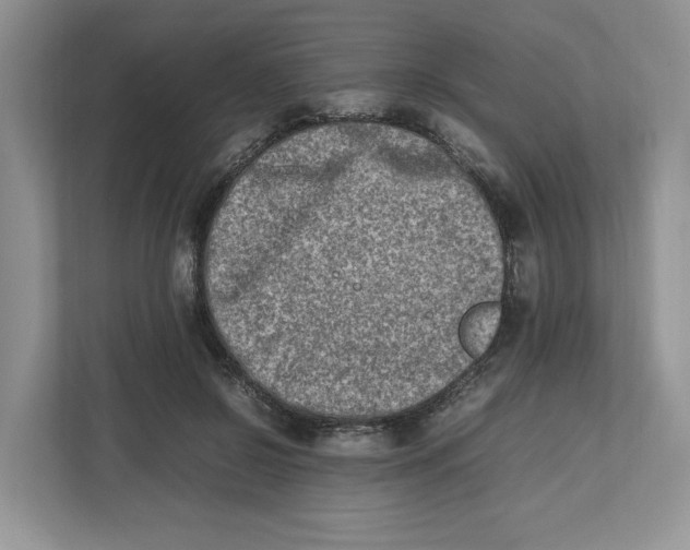 X0000112490550200909141206
