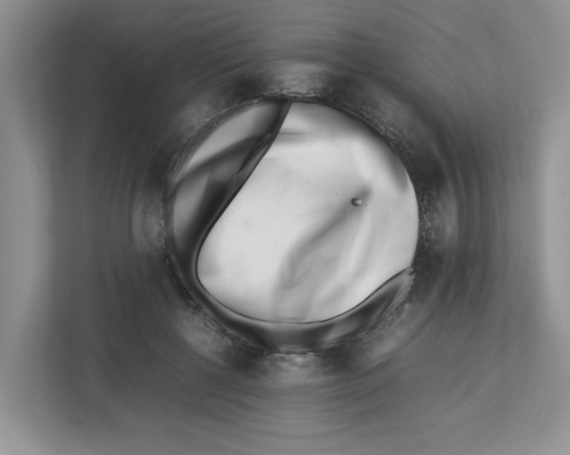 X0000112490552200909141206
