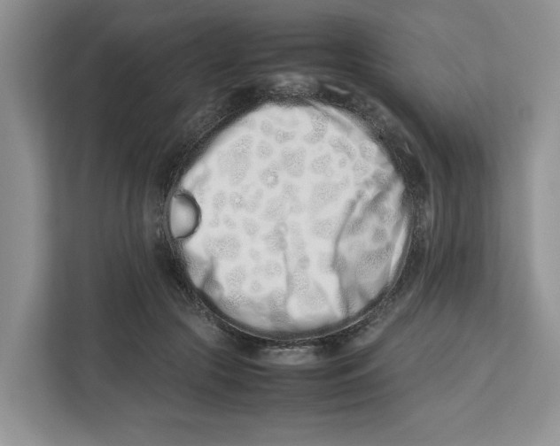 X0000112490553200909141206