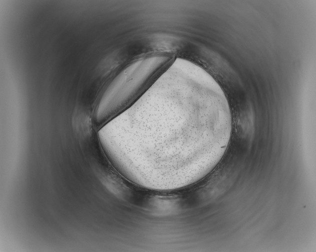 X0000112490556200909141206