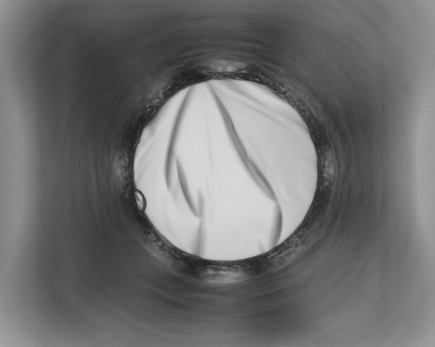 X0000112490559200909141206