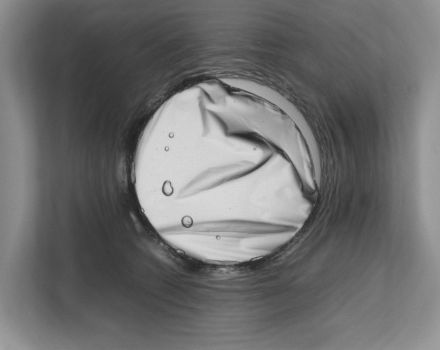 X0000112490562200909141206
