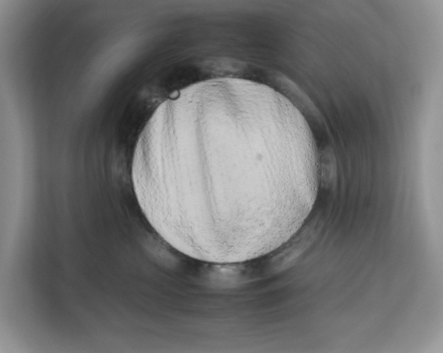 X0000112490573200909141206