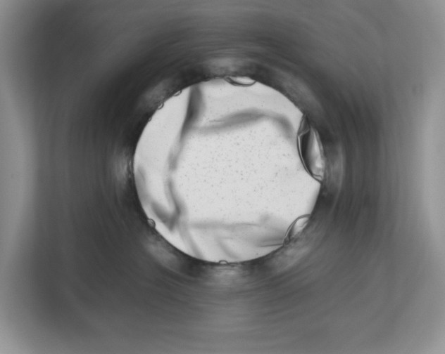 X0000112490574200909141206