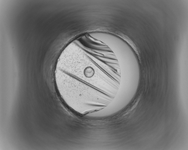 X0000112490577200909141206