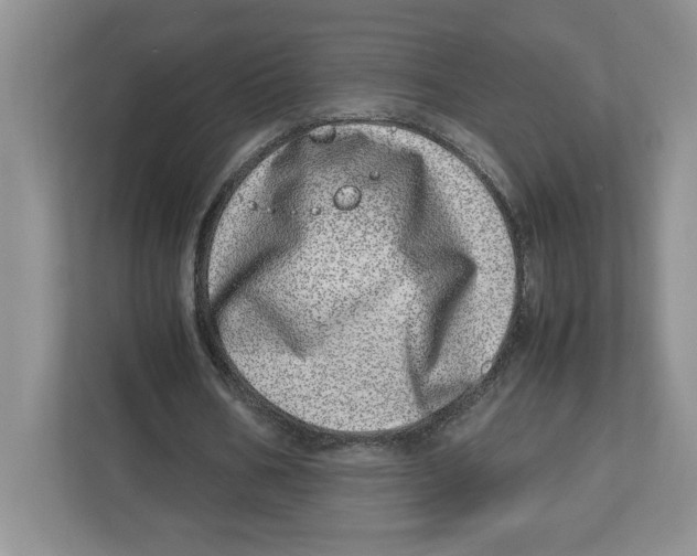 X0000112490578200909141206