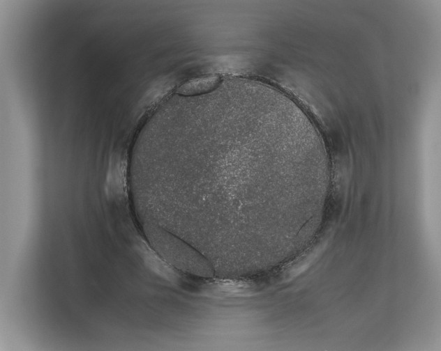 X0000112490585200909141206