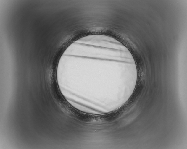 X0000112490591200909141206