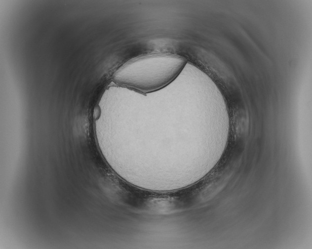 X0000112490595200909141205
