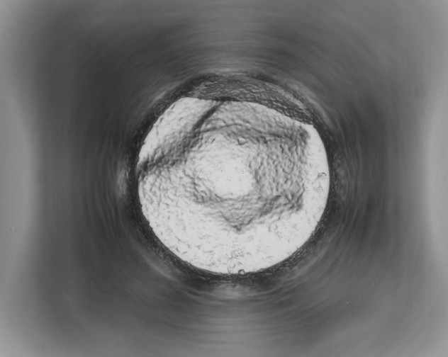 X0000112490596200909141205