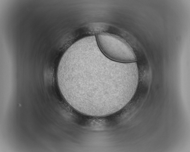 X0000112490599200909141205
