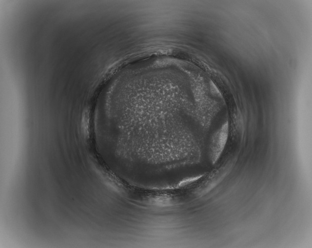 X0000112490600200909141205