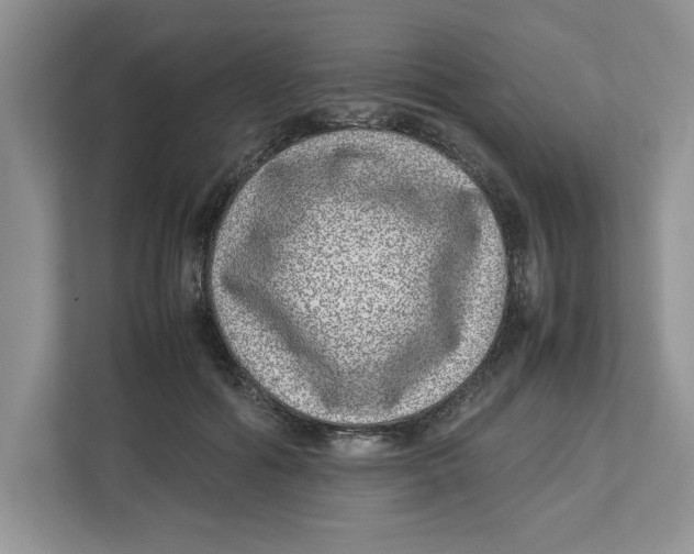 X0000112490602200909141205