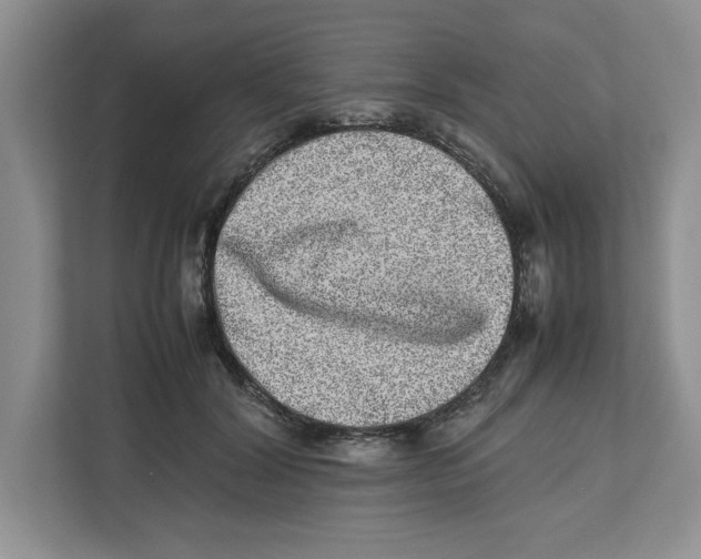 X0000112490604200909141205