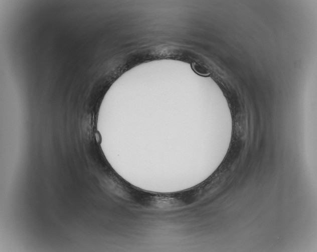 X0000112490605200909141205