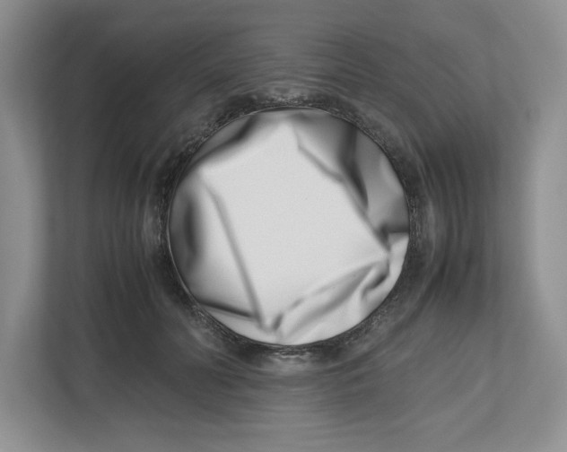 X0000112490606200909141205