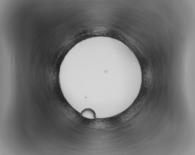 X0000112490608200909141205