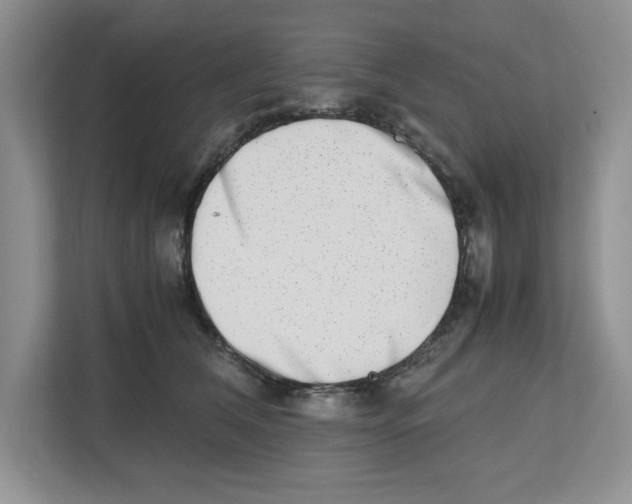 X0000112490612200909141205