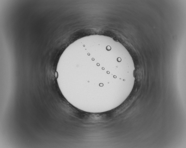 X0000112490613200909141205