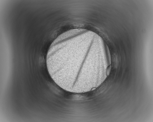X0000112490614200909141205