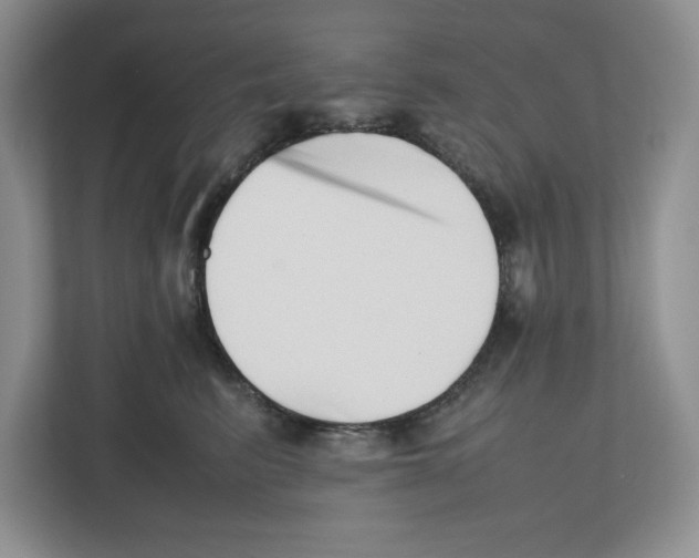 X0000112490615200909141205