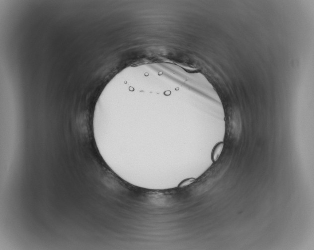 X0000112490616200909141205