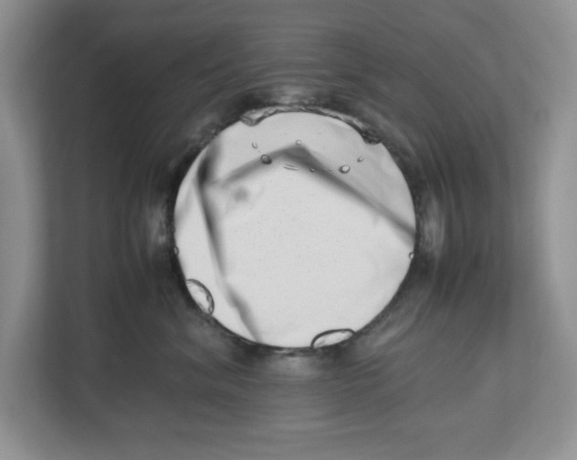 X0000112490620200909141205
