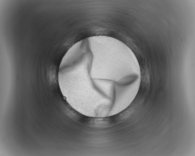 X0000112490622200909141205