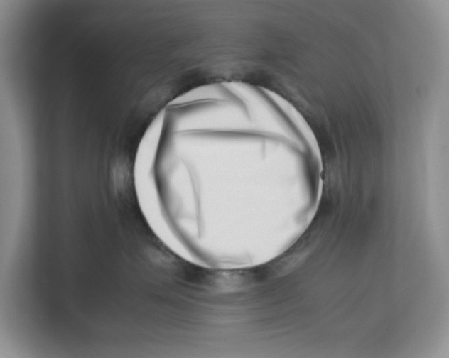 X0000112490623200909141205