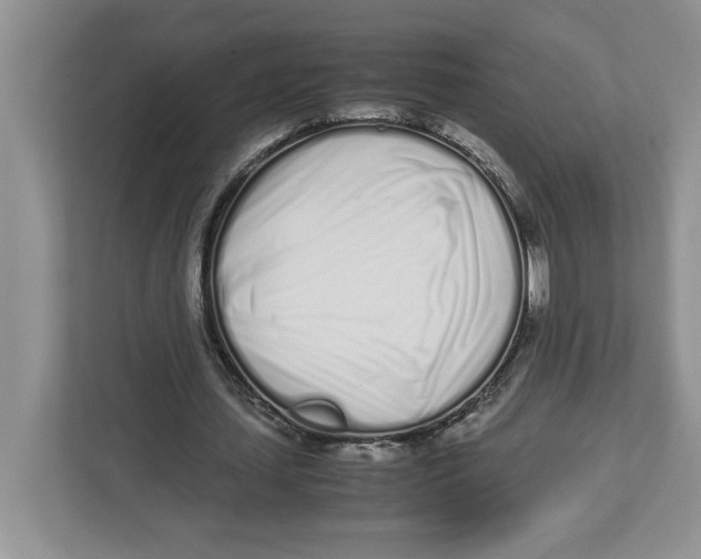 X0000112490627200909141205